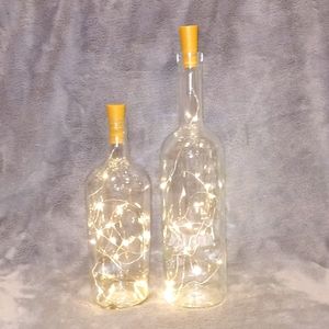 1231 Set of 2 Glass Champ Champagne Bottles with LED String Lights